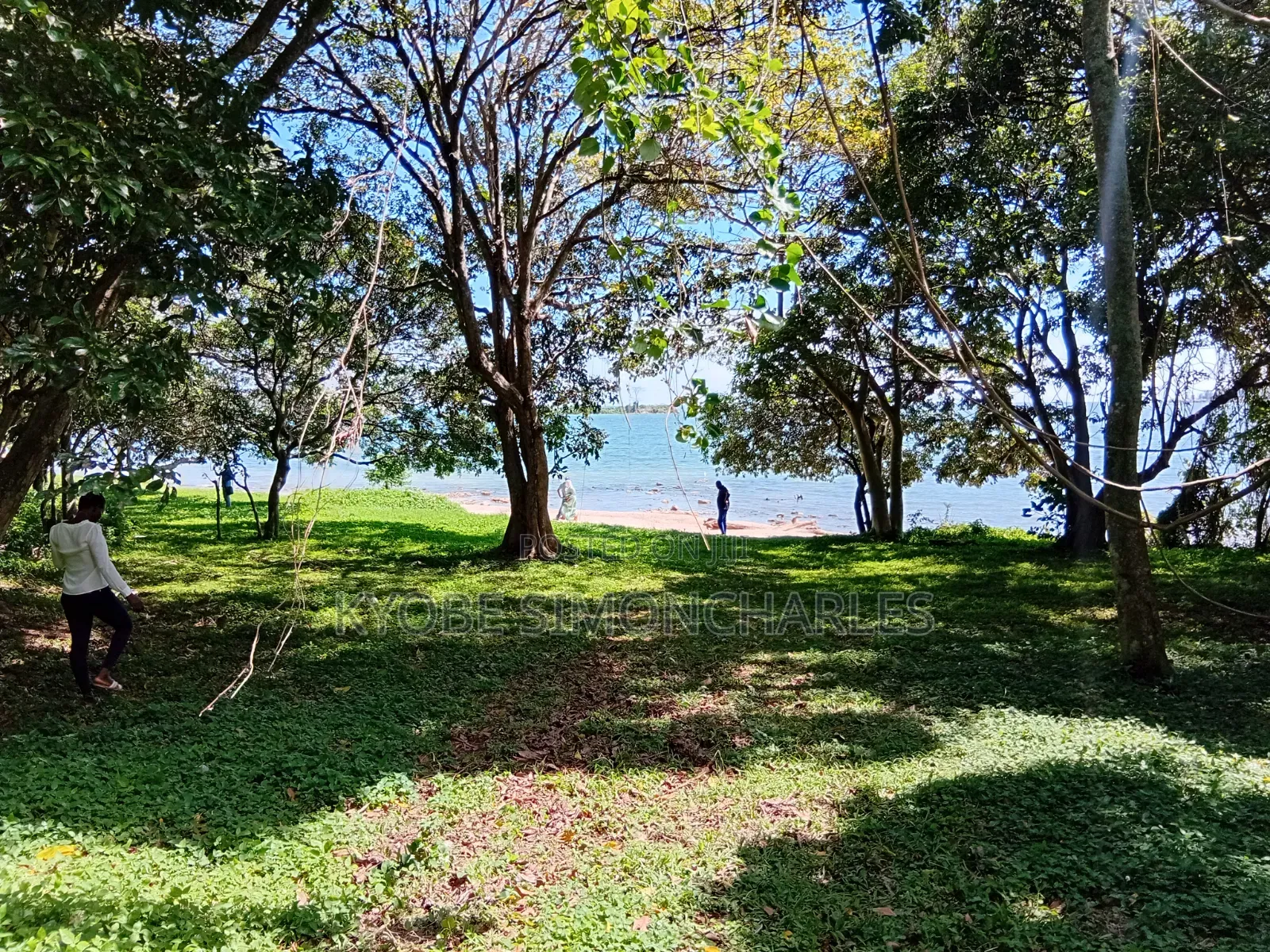 19 Acres Investment Land in Garuga on Sale