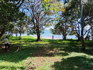 19 Acres Investment Land in Garuga on Sale