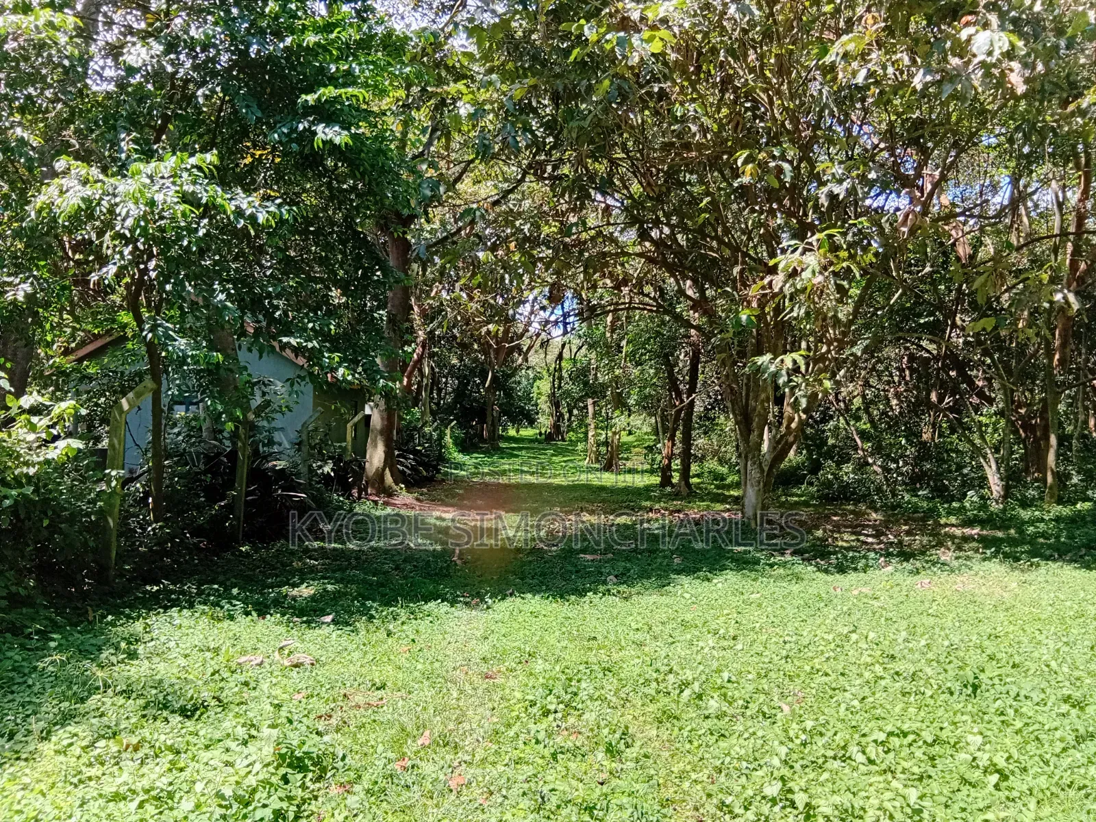 19 Acres Investment Land in Garuga on Sale
