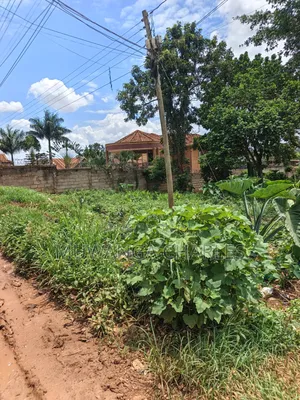 100by100ft Plot Available for Sale Kyanja Kungu
