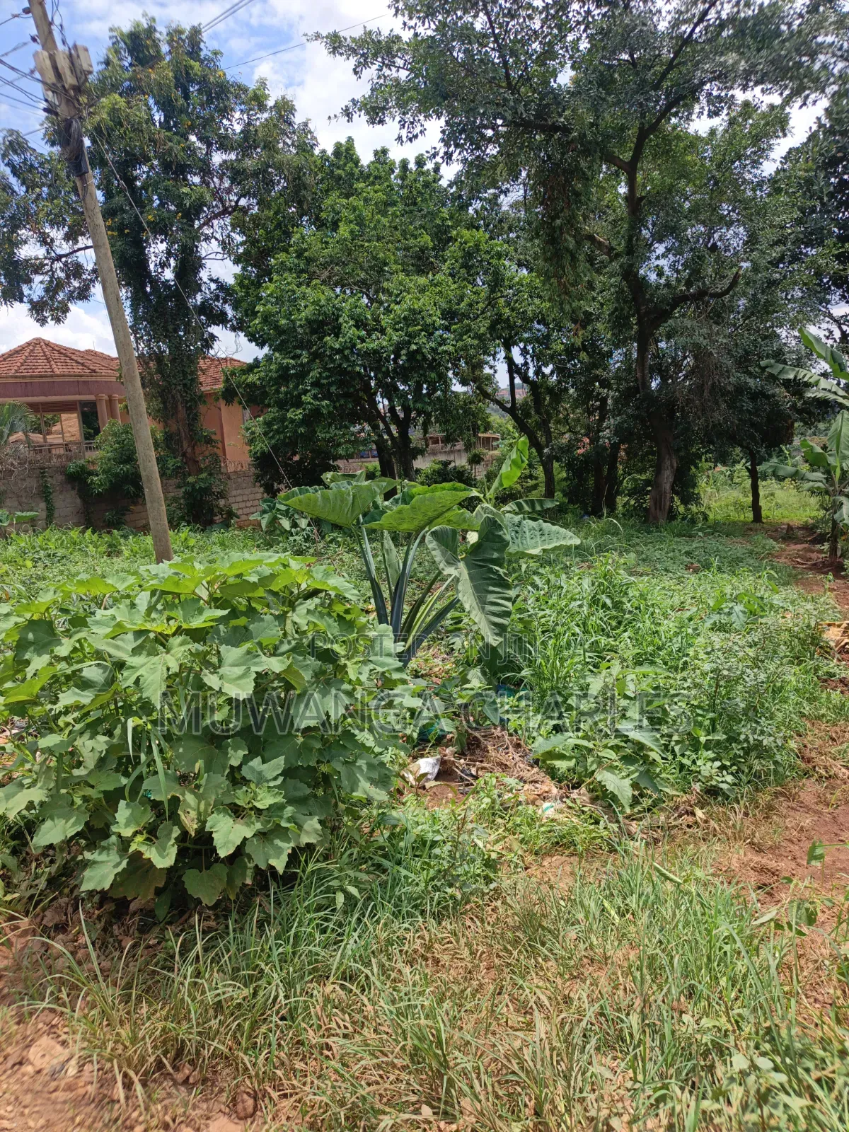 100by100ft Plot Available for Sale Kyanja Kungu