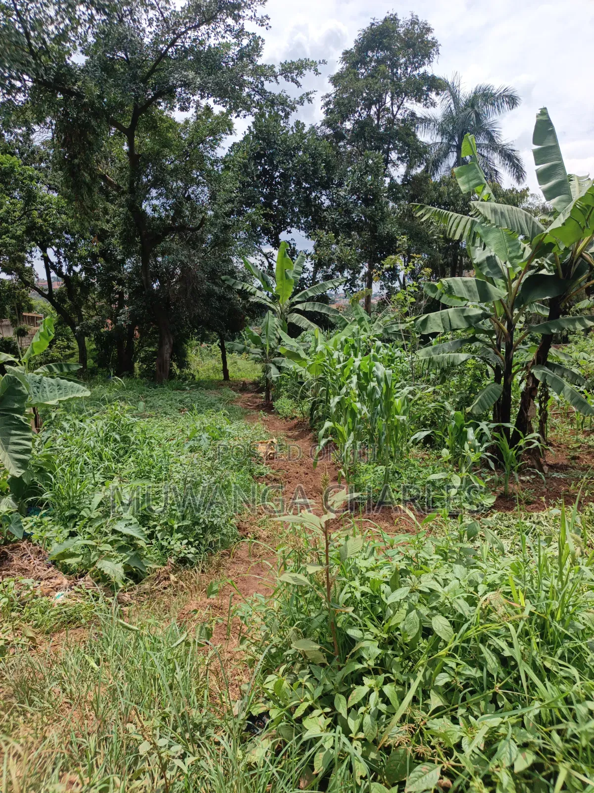 100by100ft Plot Available for Sale Kyanja Kungu