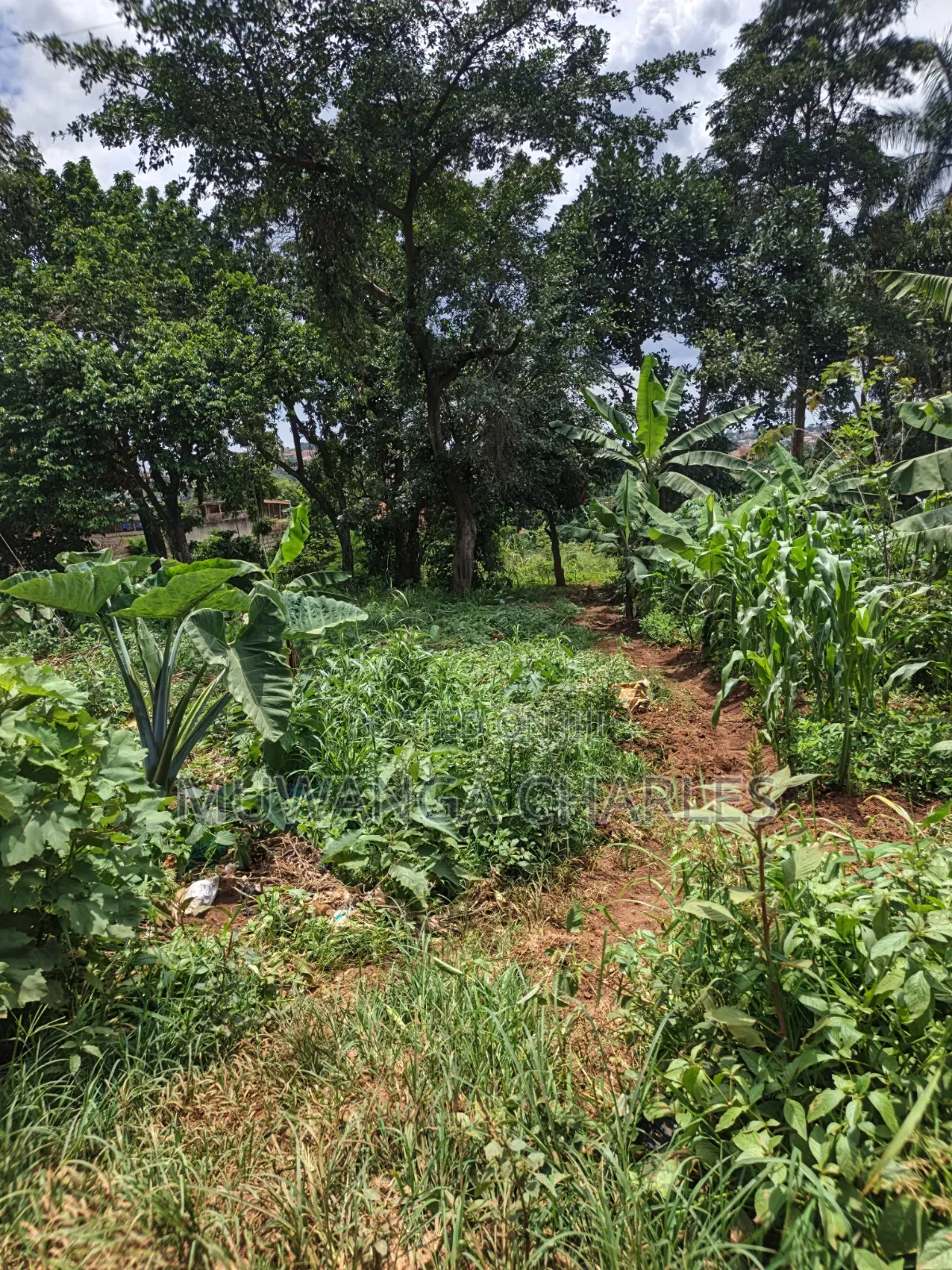 100by100ft Plot Available for Sale Kyanja Kungu
