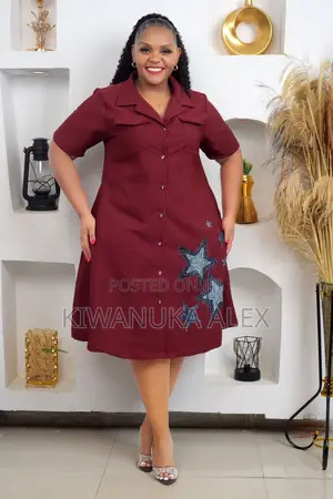 Elegant Shirt Dress