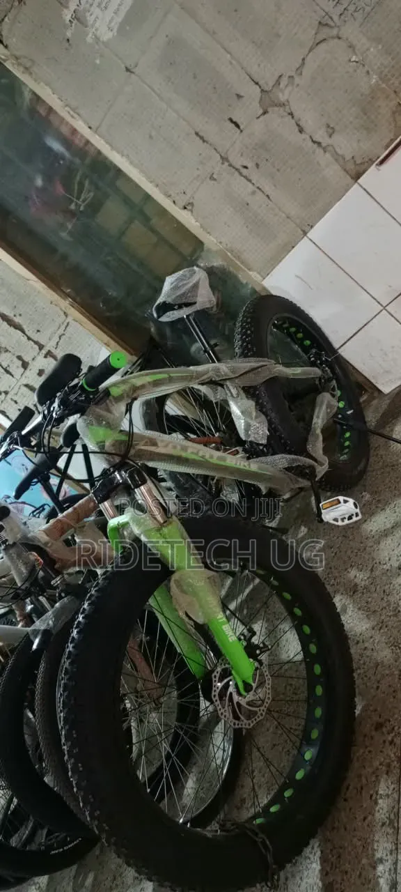 Mountain Bike
