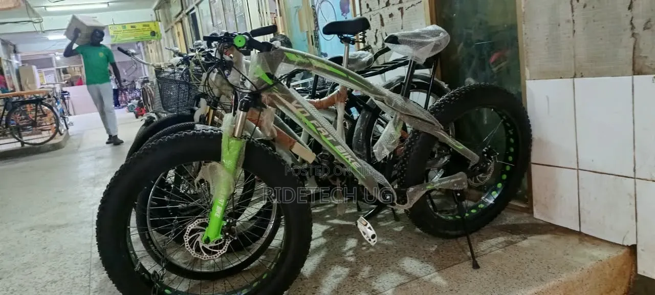 Mountain Bike