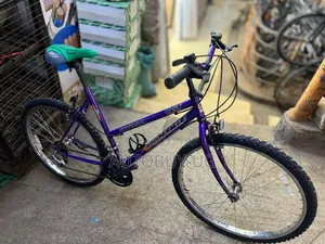 Adult Bicycle