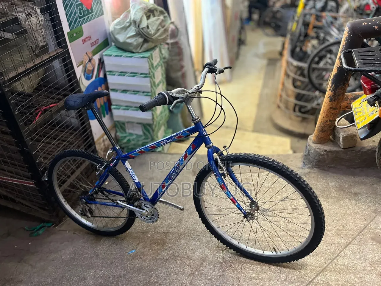 Adult Bicycle