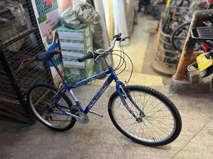 Adult Bicycle