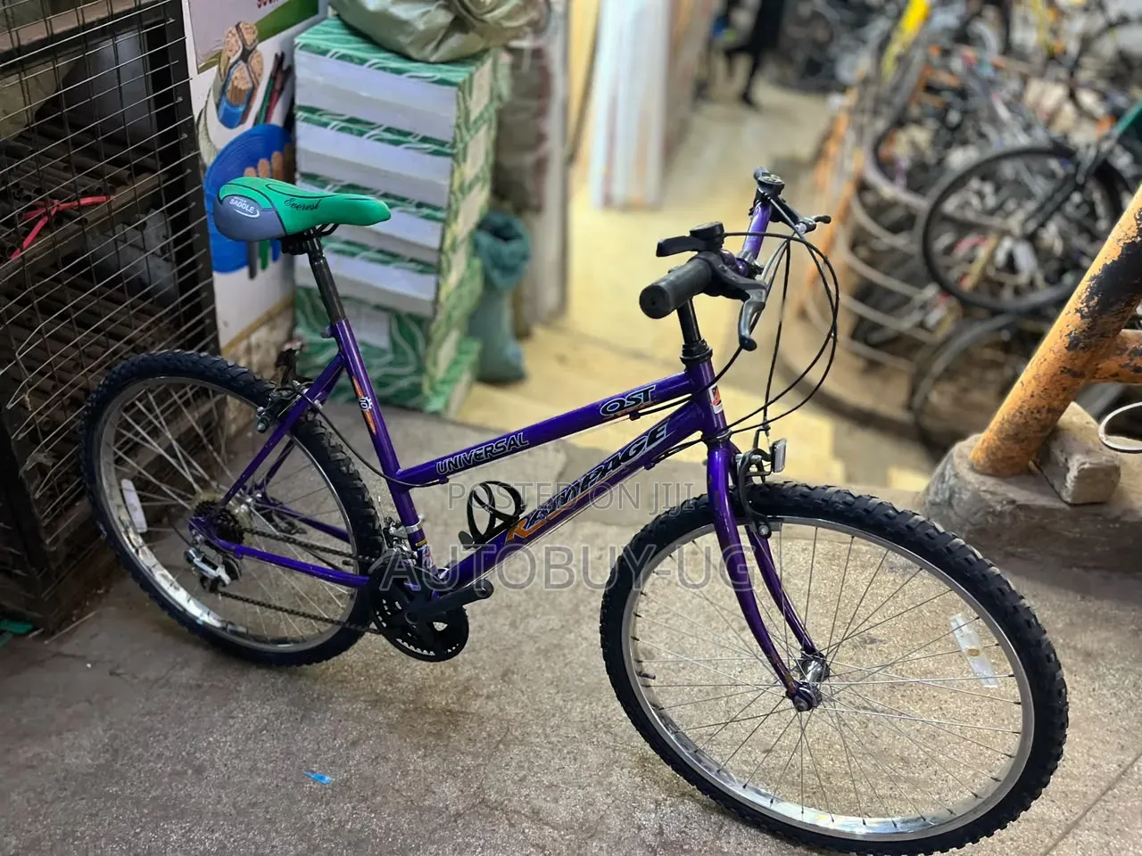 Adult Bicycle