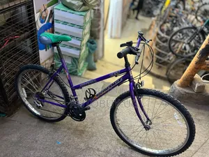 Adult Bicycle