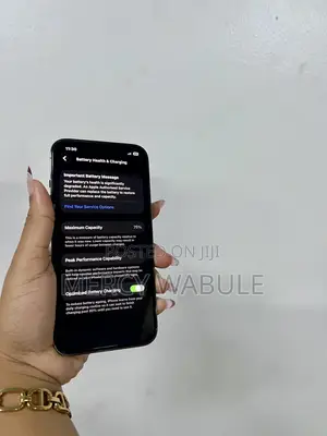 Apple iPhone 13 Pro 256 GB Gray