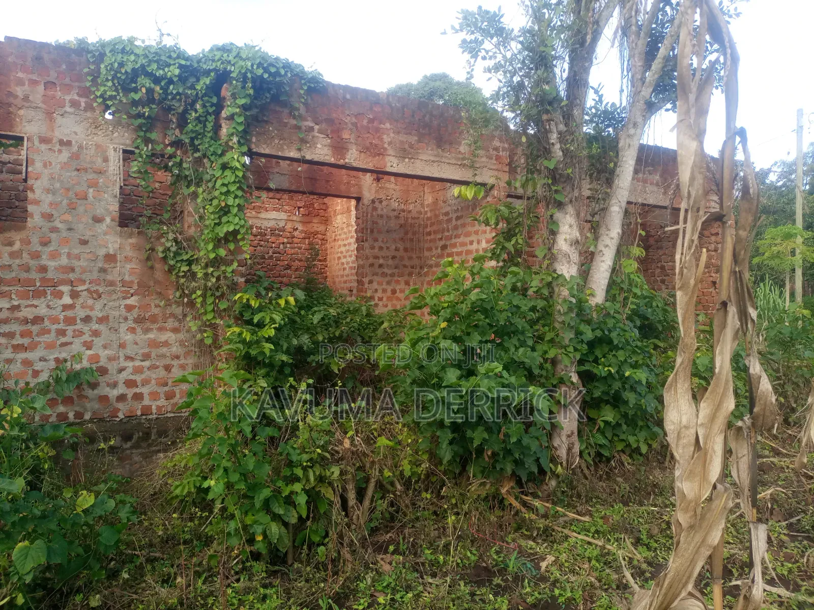 10bdrm Bungalow in Kayunga TC for sale