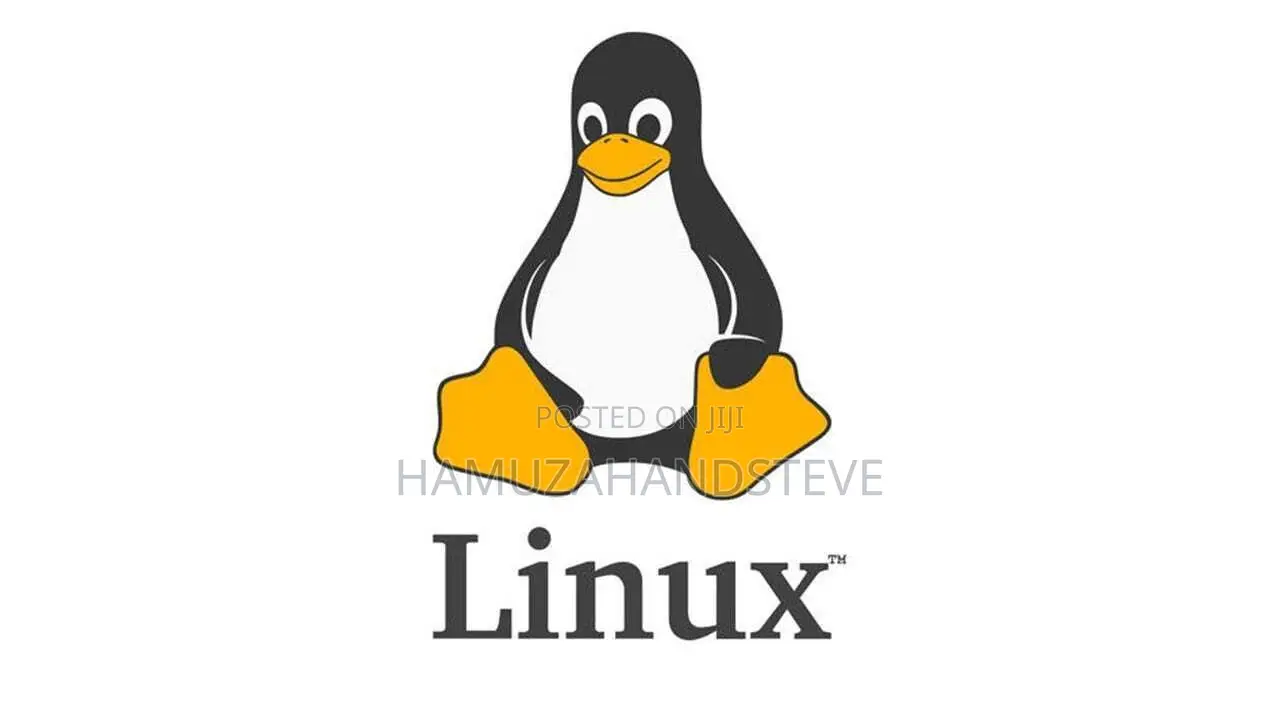 Professional Linux OS Installation & Setup Service