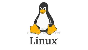 Professional Linux OS Installation & Setup Service