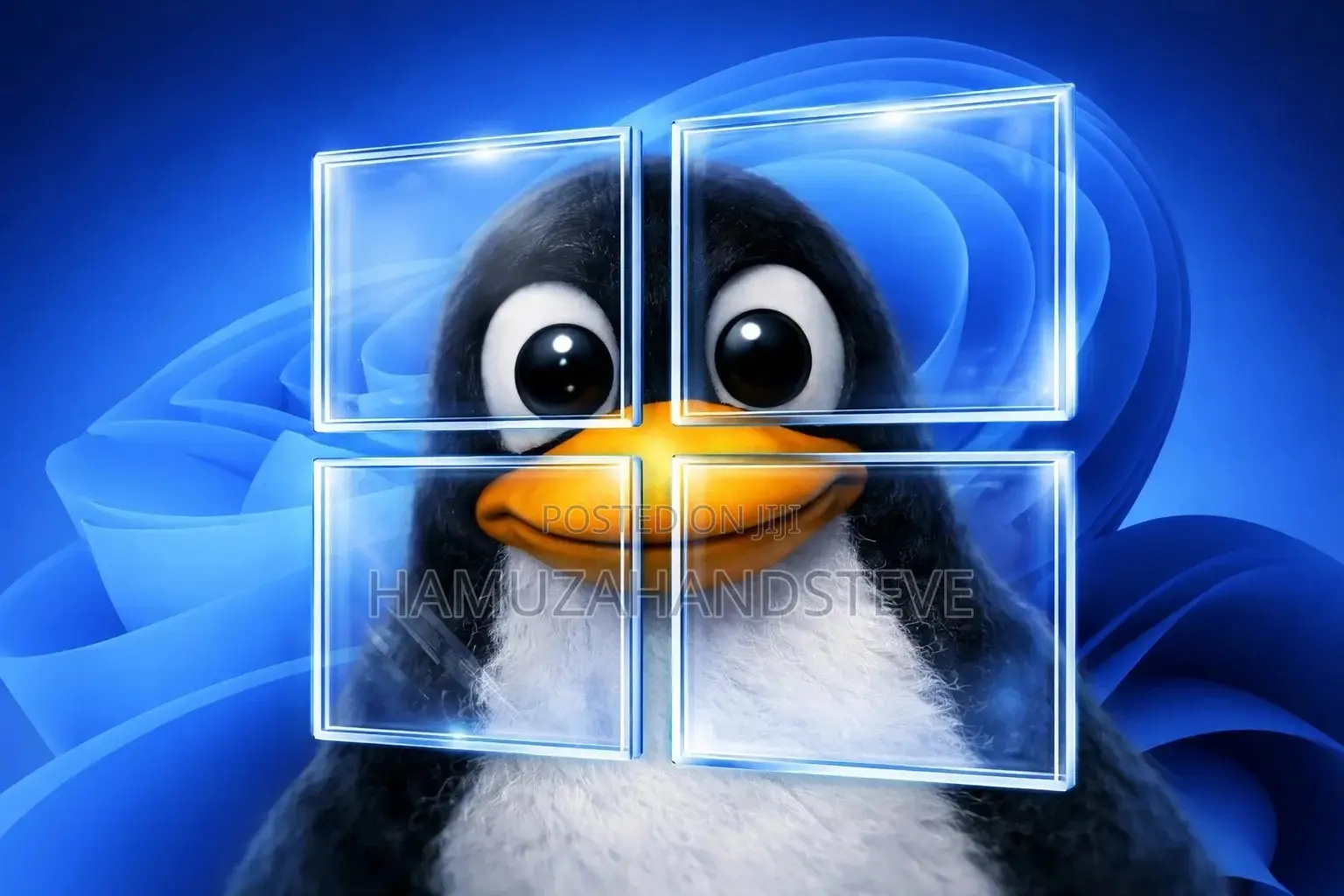 Professional Linux OS Installation & Setup Service