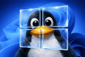 Professional Linux OS Installation & Setup Service