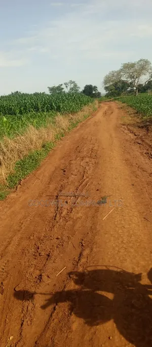 100 Acres of Land at Katalekamese Kapeeka Nakaseke