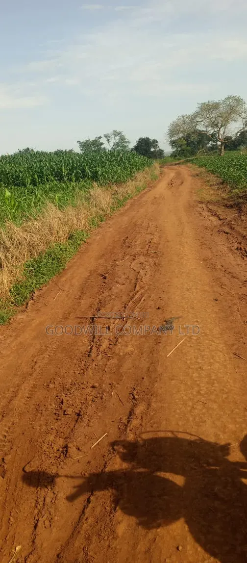 100 Acres of Land at Katalekamese Kapeeka Nakaseke