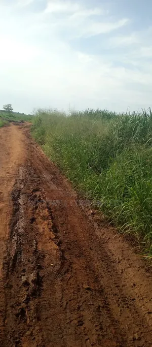 100 Acres of Land at Katalekamese Kapeeka Nakaseke