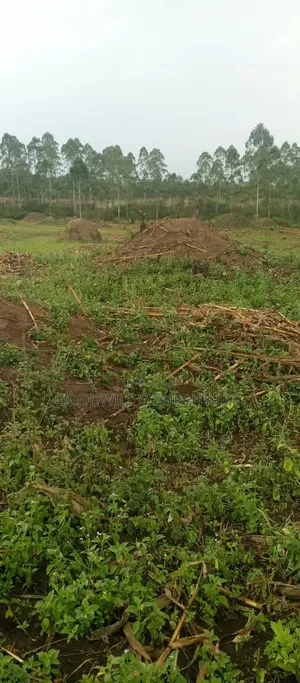 140 Acres of Land on Sale at Kyaluwesi in Kiwoko Nakaseke District