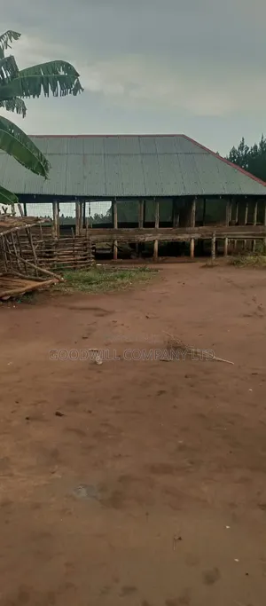 140 Acres of Land on Sale at Kyaluwesi in Kiwoko Nakaseke District