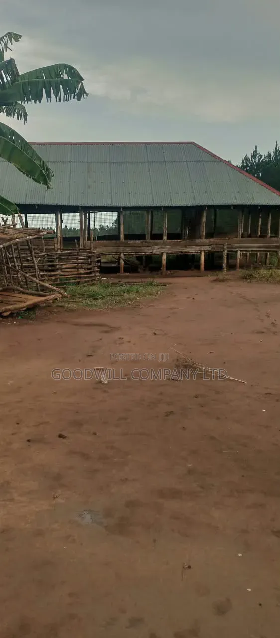 140 Acres of Land on Sale at Kyaluwesi in Kiwoko Nakaseke District