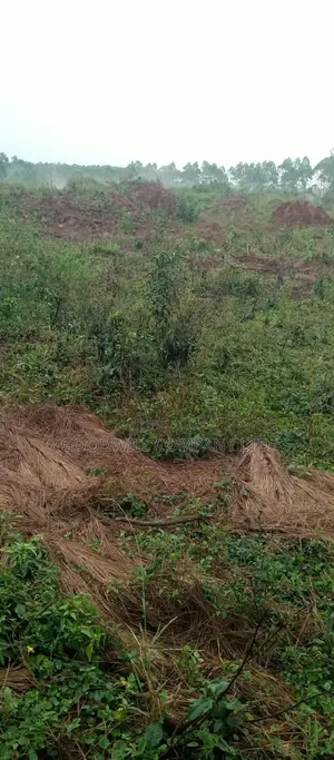 140 Acres of Land on Sale at Kyaluwesi in Kiwoko Nakaseke District