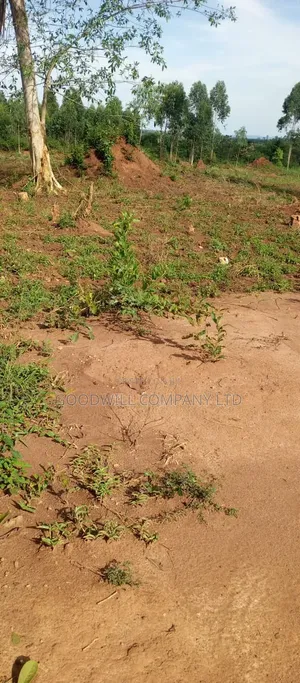 51 Acres of Land on Sale at Butalangu Nakaseke 7km Off Tarmac Road