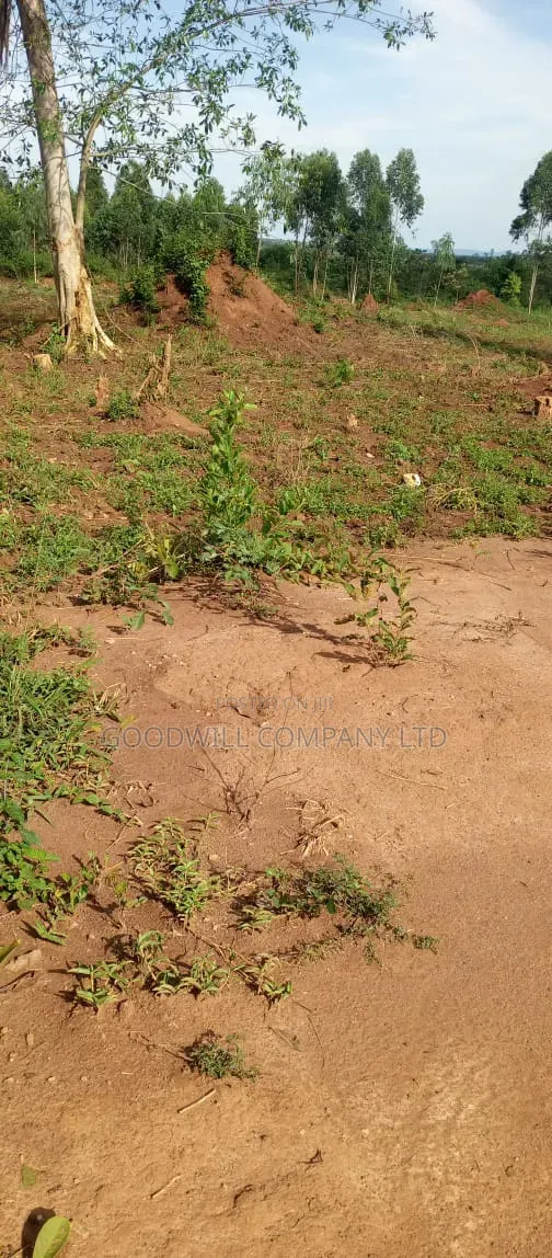 51 Acres of Land on Sale at Butalangu Nakaseke 7km Off Tarmac Road
