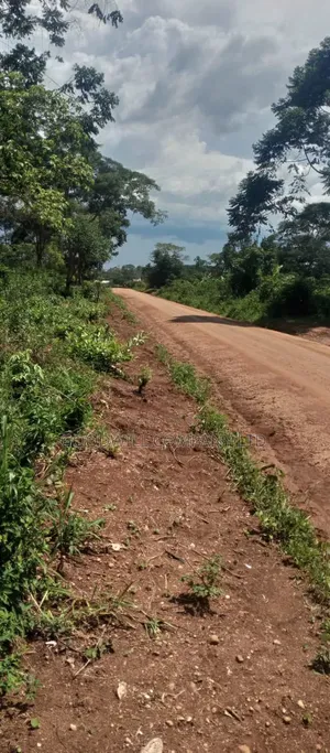 106 Acres of Land Kiwoko Nakaseke 3phase Electricity 1km Off Tarmac