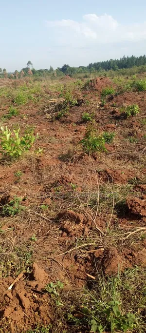100 Acres of Land on Sale at Kyakadongo After Watuba Kikyuusa