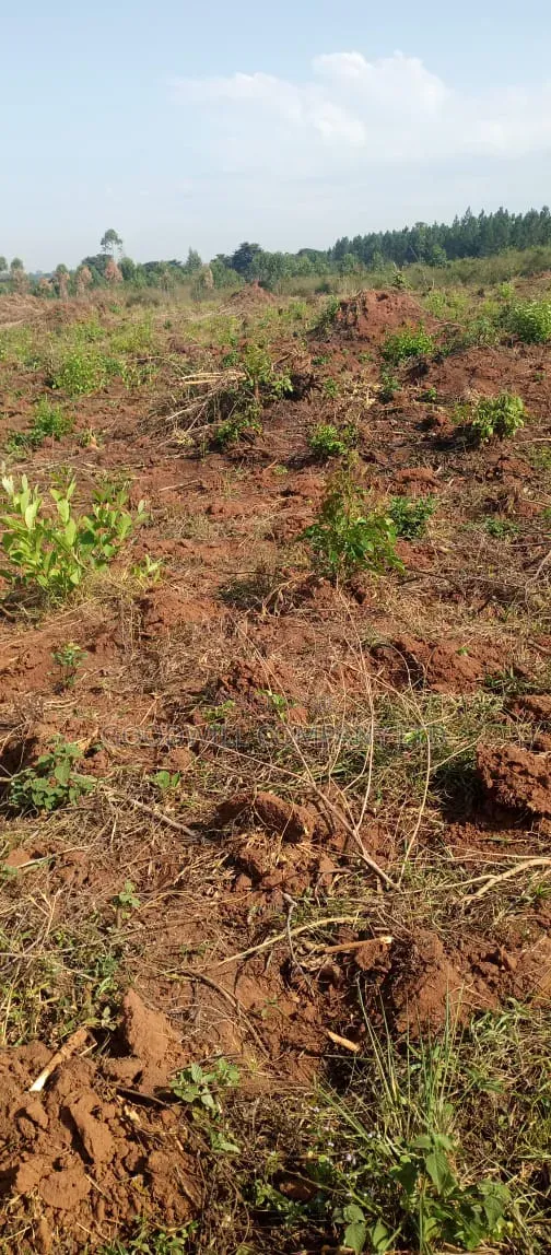 100 Acres of Land on Sale at Kyakadongo After Watuba Kikyuusa