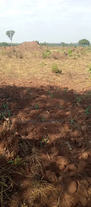 100 Acres of Land on Sale at Kyakadongo After Watuba Kikyuusa