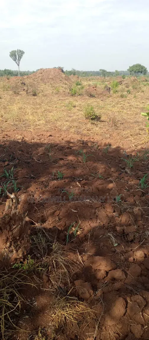 100 Acres of Land on Sale at Kyakadongo After Watuba Kikyuusa