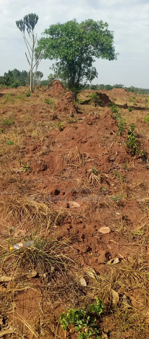100 Acres of Land on Sale at Kyakadongo After Watuba Kikyuusa