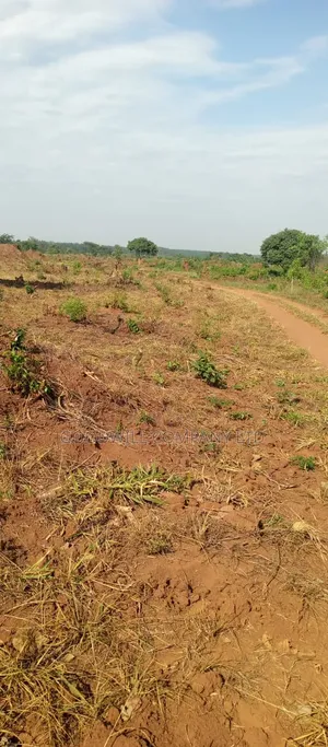 100 Acres of Land on Sale at Kyakadongo After Watuba Kikyuusa