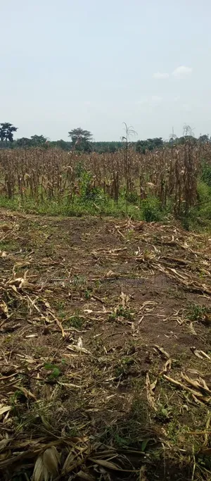 100 Acres of Land on Sale at Kyakadongo After Watuba Kikyuusa