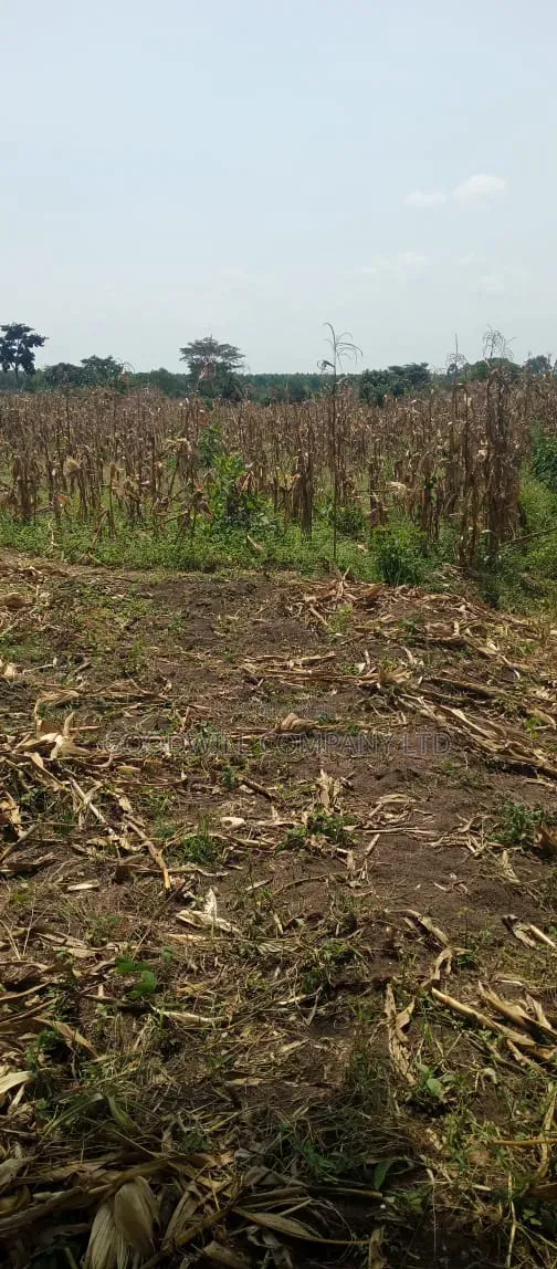 100 Acres of Land on Sale at Kyakadongo After Watuba Kikyuusa