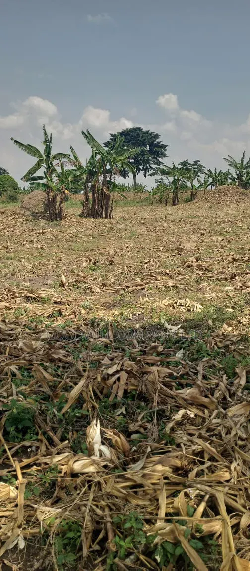 100 Acres of Land on Sale at Kyakadongo After Watuba Kikyuusa