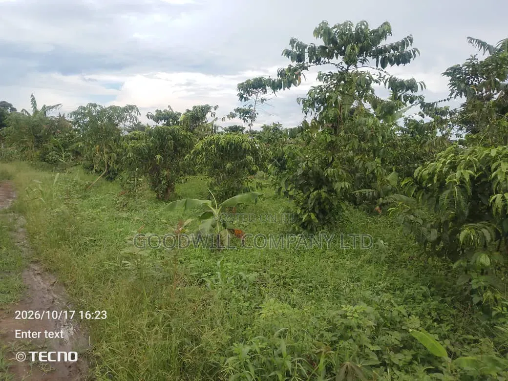 5 Acres of Land in Vumba Busika 3km Off Tarmac