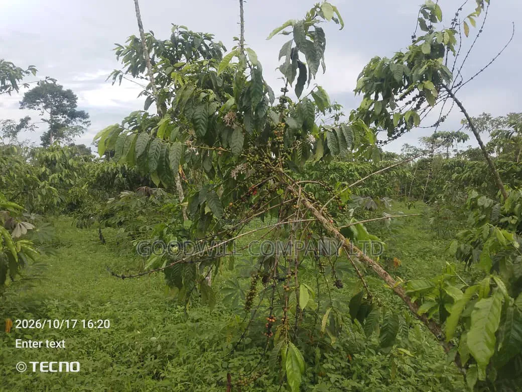 5 Acres of Land in Vumba Busika 3km Off Tarmac