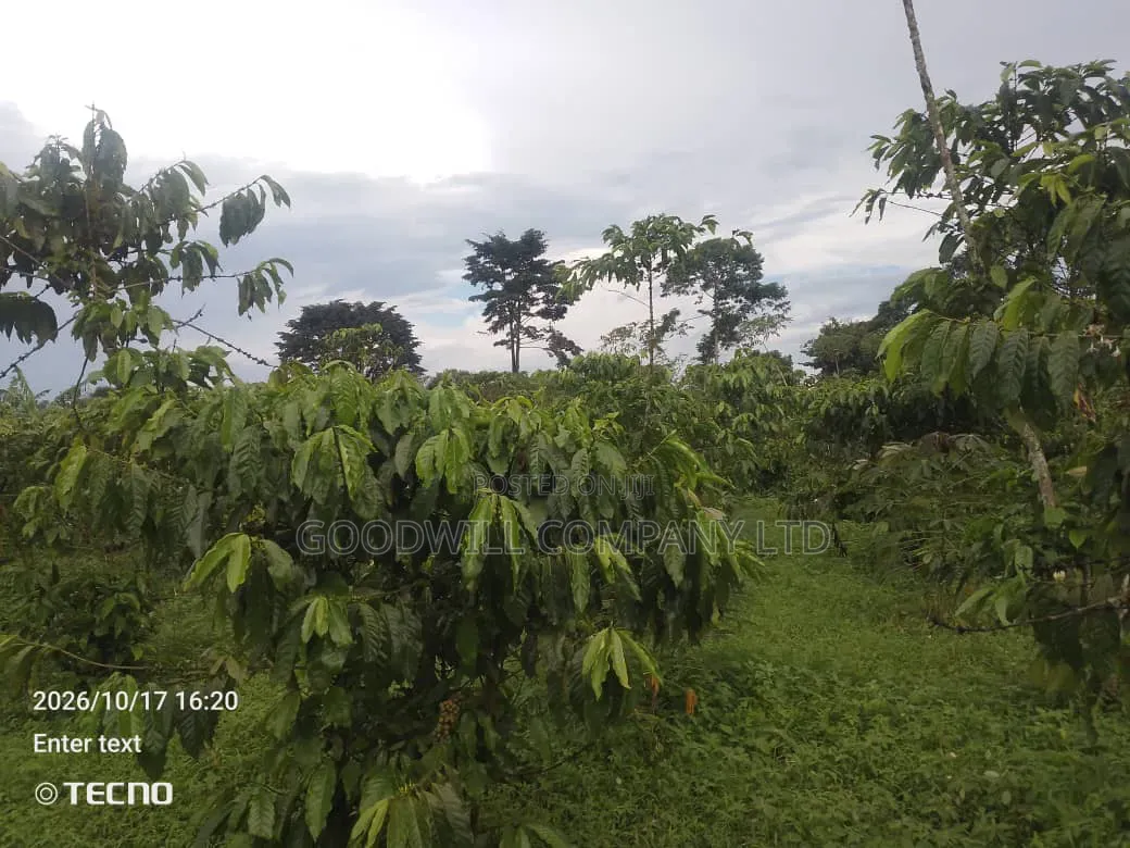 5 Acres of Land in Vumba Busika 3km Off Tarmac