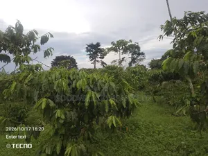 5 Acres of Land in Vumba Busika 3km Off Tarmac
