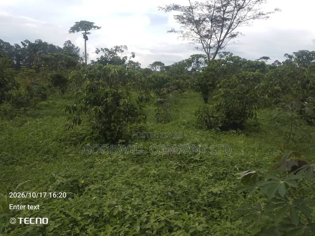 5 Acres of Land in Vumba Busika 3km Off Tarmac