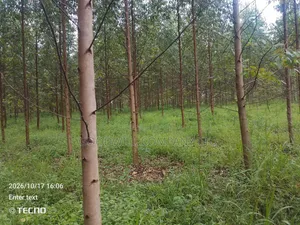 6 Acres of Land in Vumba Busika With Karintusi 3km Off Tarmac Riad