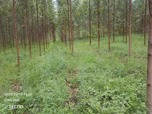 6 Acres of Land in Vumba Busika With Karintusi 3km Off Tarmac Riad