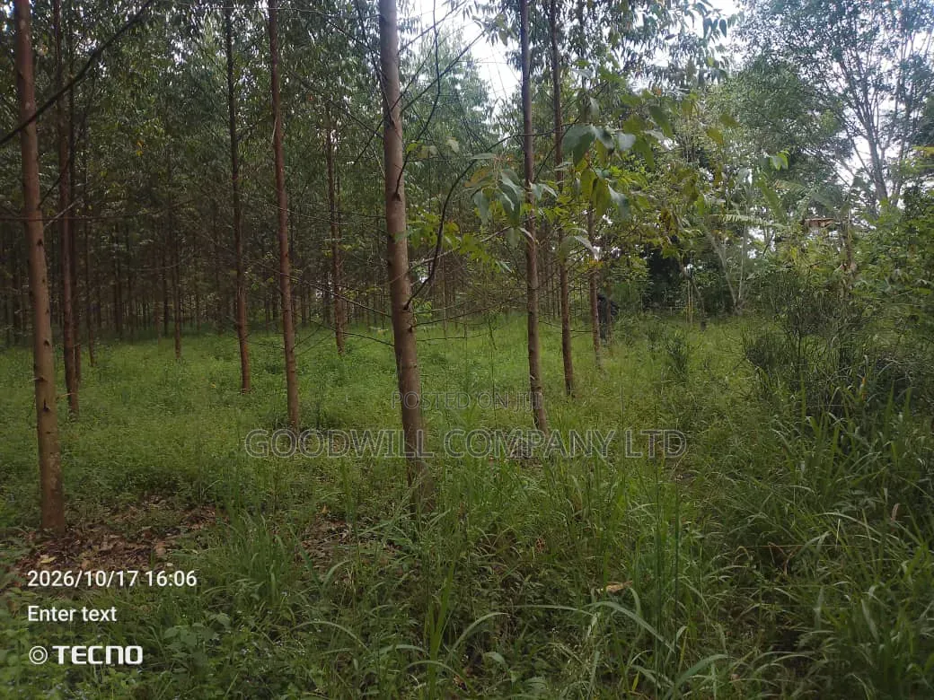 6 Acres of Land in Vumba Busika With Karintusi 3km Off Tarmac Riad