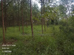 6 Acres of Land in Vumba Busika With Karintusi 3km Off Tarmac Riad
