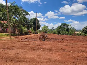 Kampilingisa Town Estate
